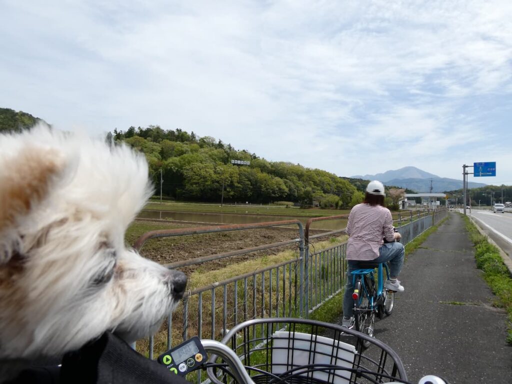虎御前山城跡から小谷城跡への道