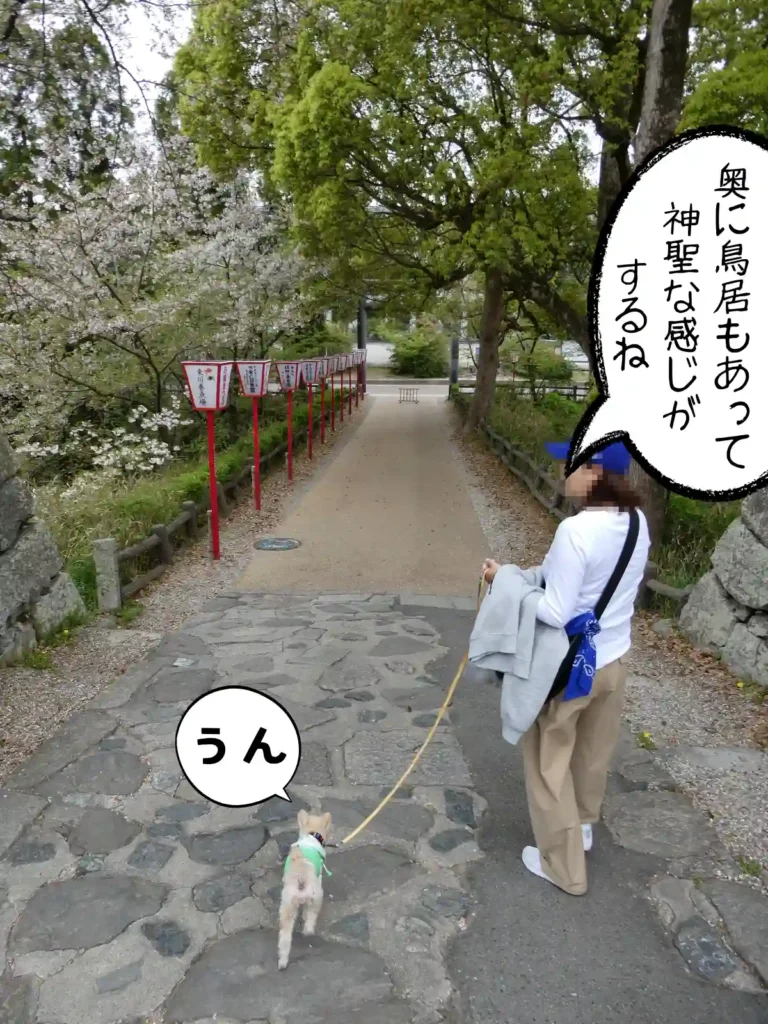 柳澤神社の参道と鳥居