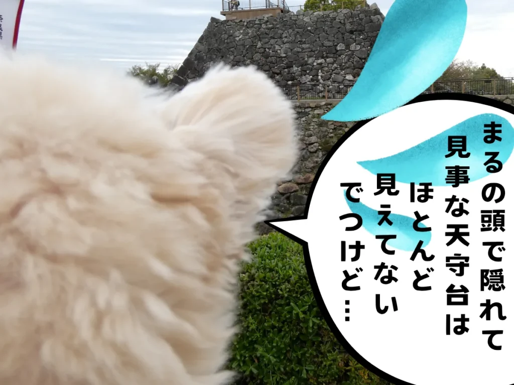 馬場先門跡から見る天守台