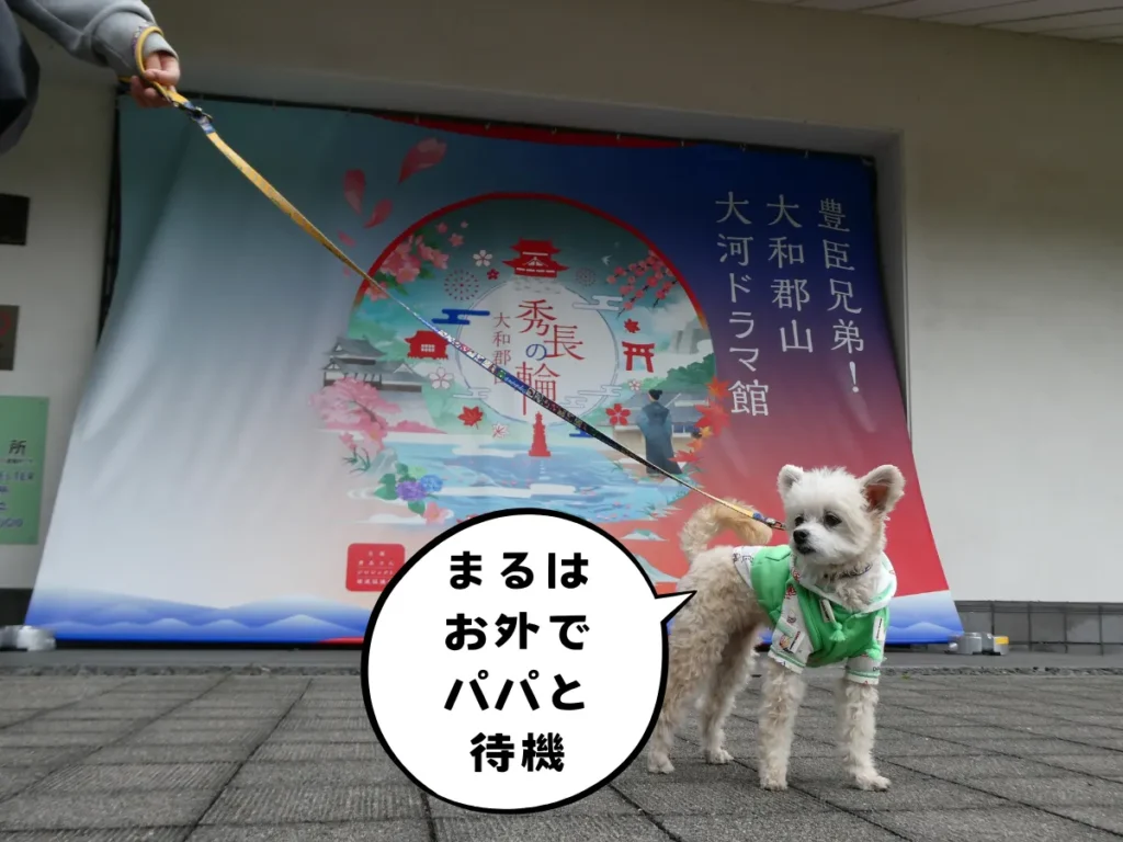 豊臣兄弟！大和郡山 大河ドラマ館のフォトスポットと犬