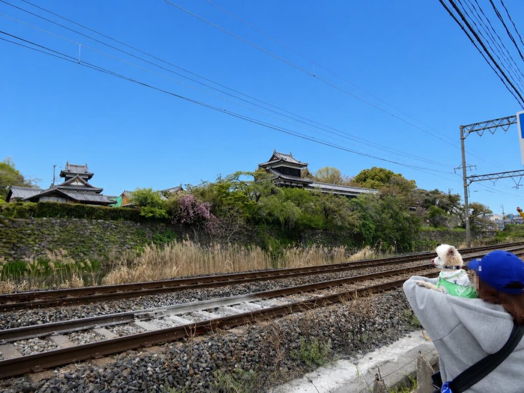 郡山城のいちおしフォトスポット