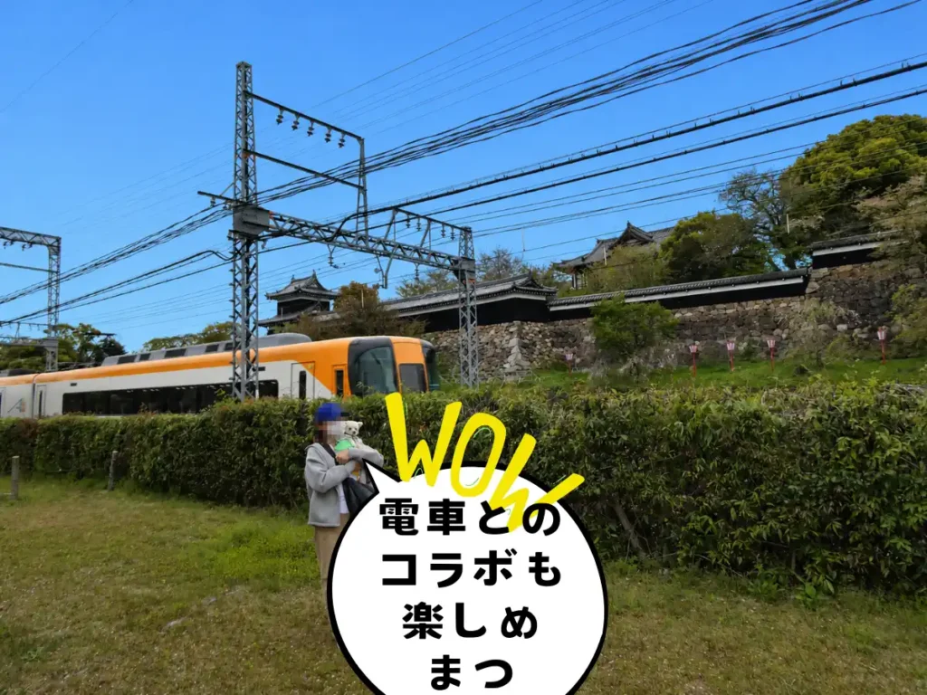 郡山城と近鉄電車