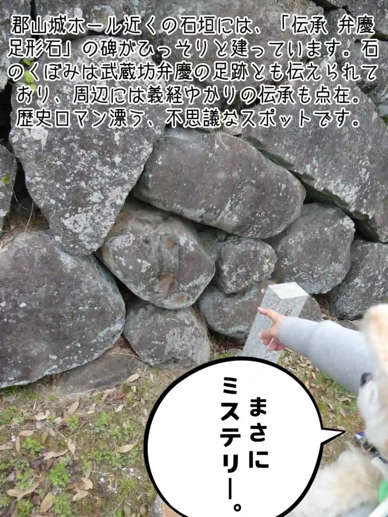 弁慶定形石
