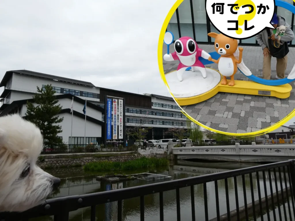 市役所と中堀に架かる百寿橋