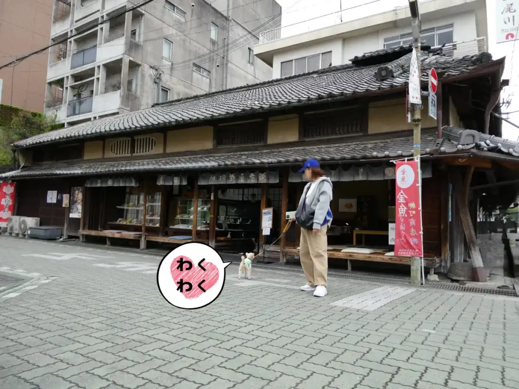 本家菊屋本店