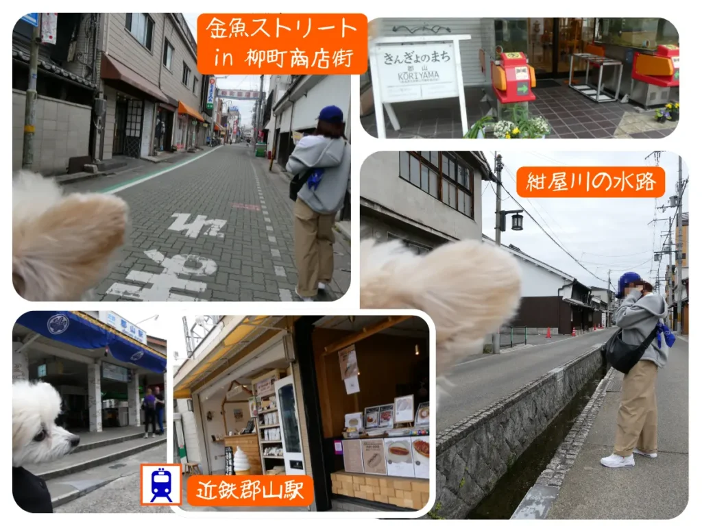 金魚ストリートと近鉄郡山駅、紺屋川の水路の一覧画像