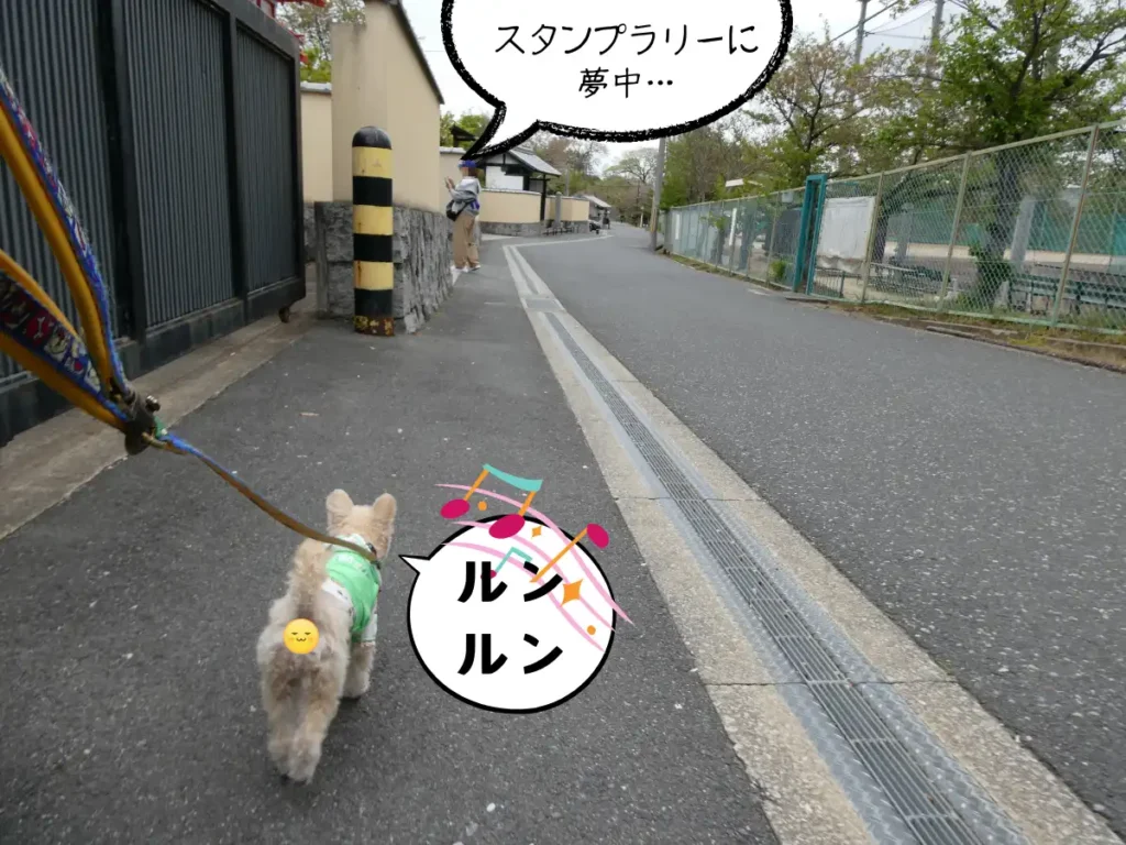 永慶寺前の道を歩く犬