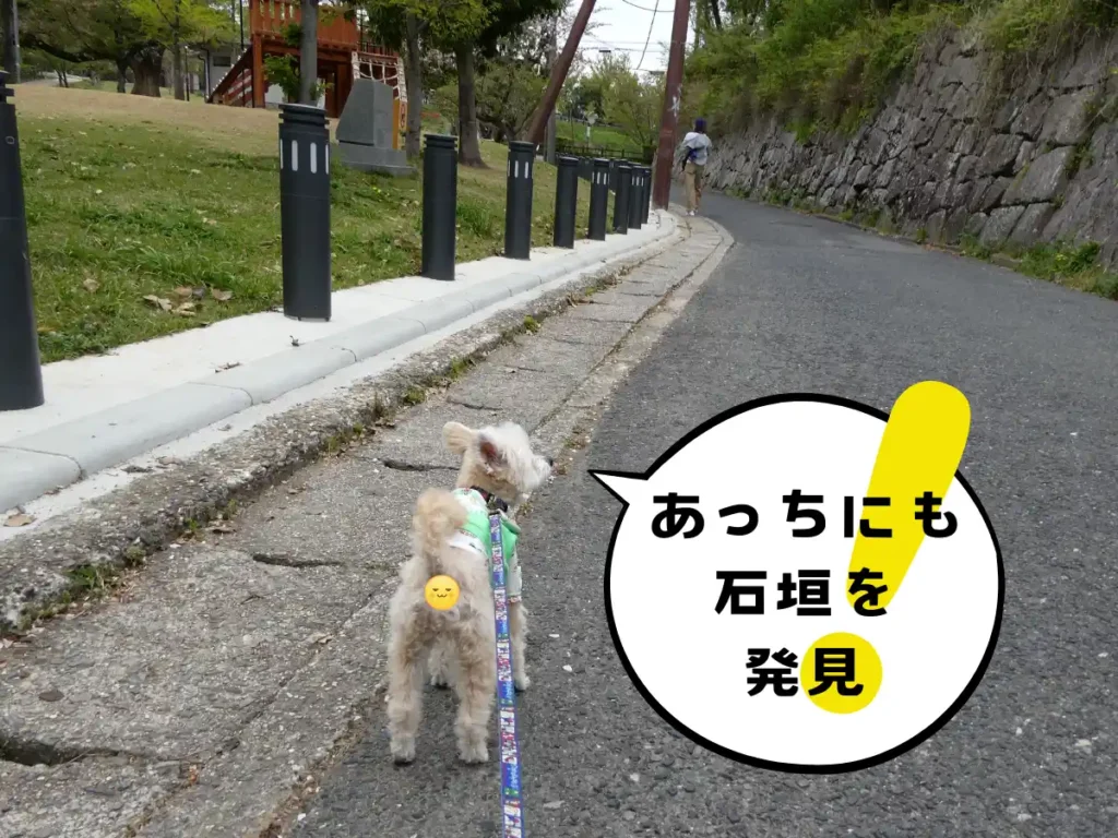 松蔭門跡へと歩く犬