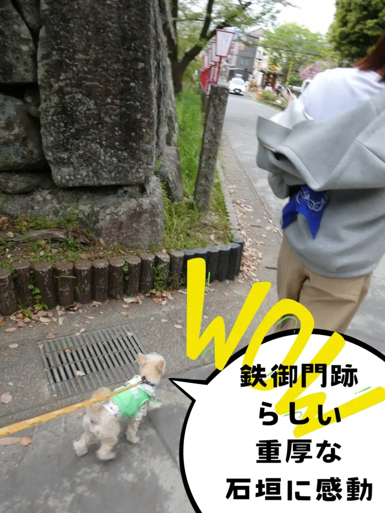 鉃御門跡