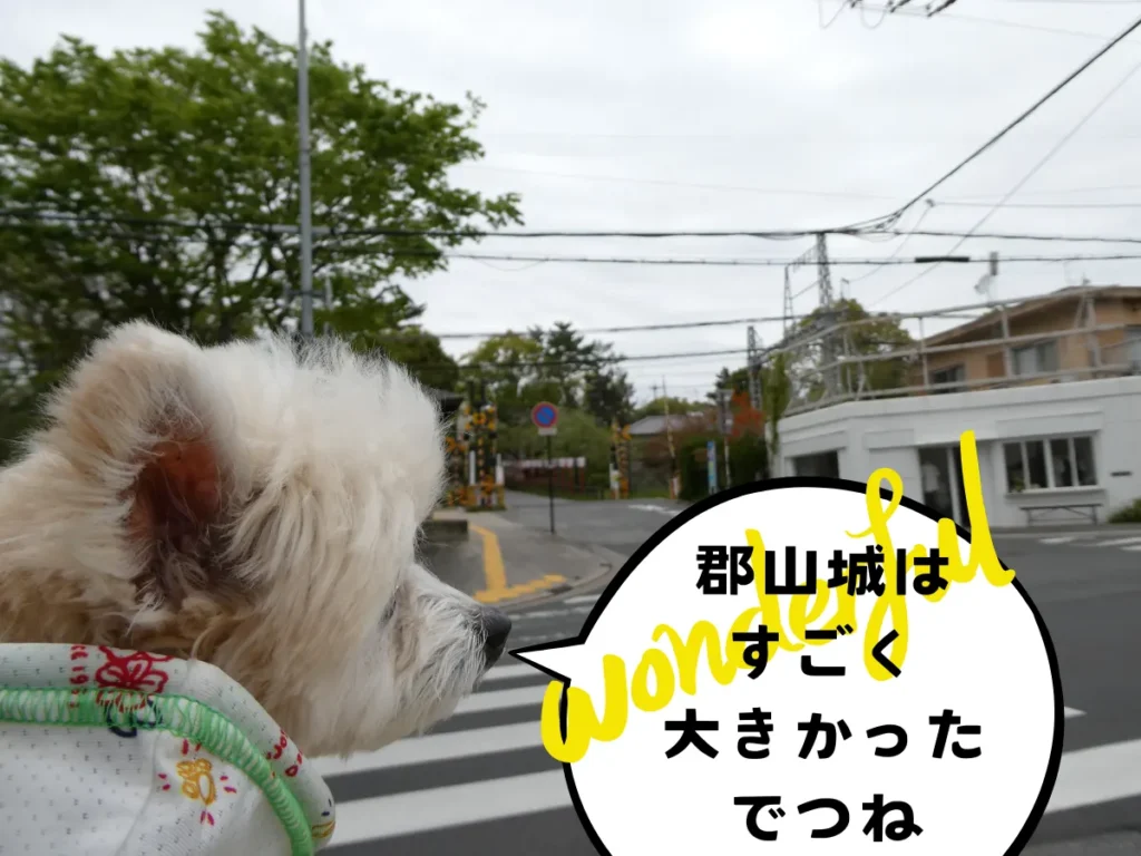 鉃御門跡と線路を見る犬