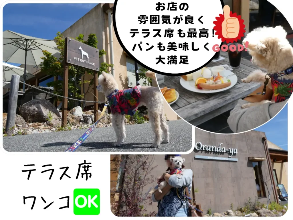 オランダ屋 富雄店