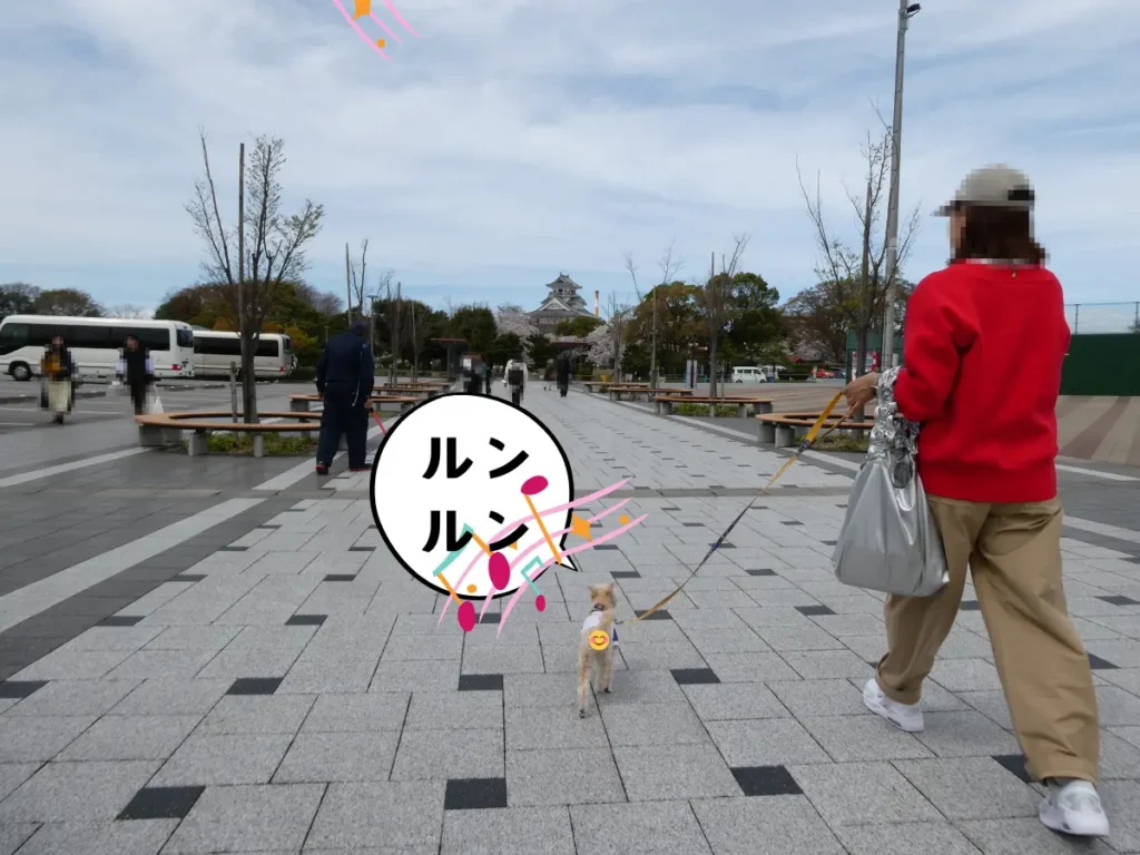 駐車場から豊公園を歩くママと犬