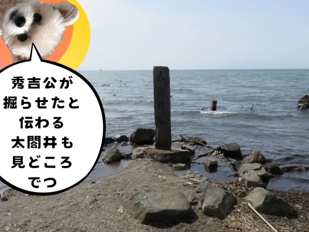 琵琶湖沿いにある太閤井