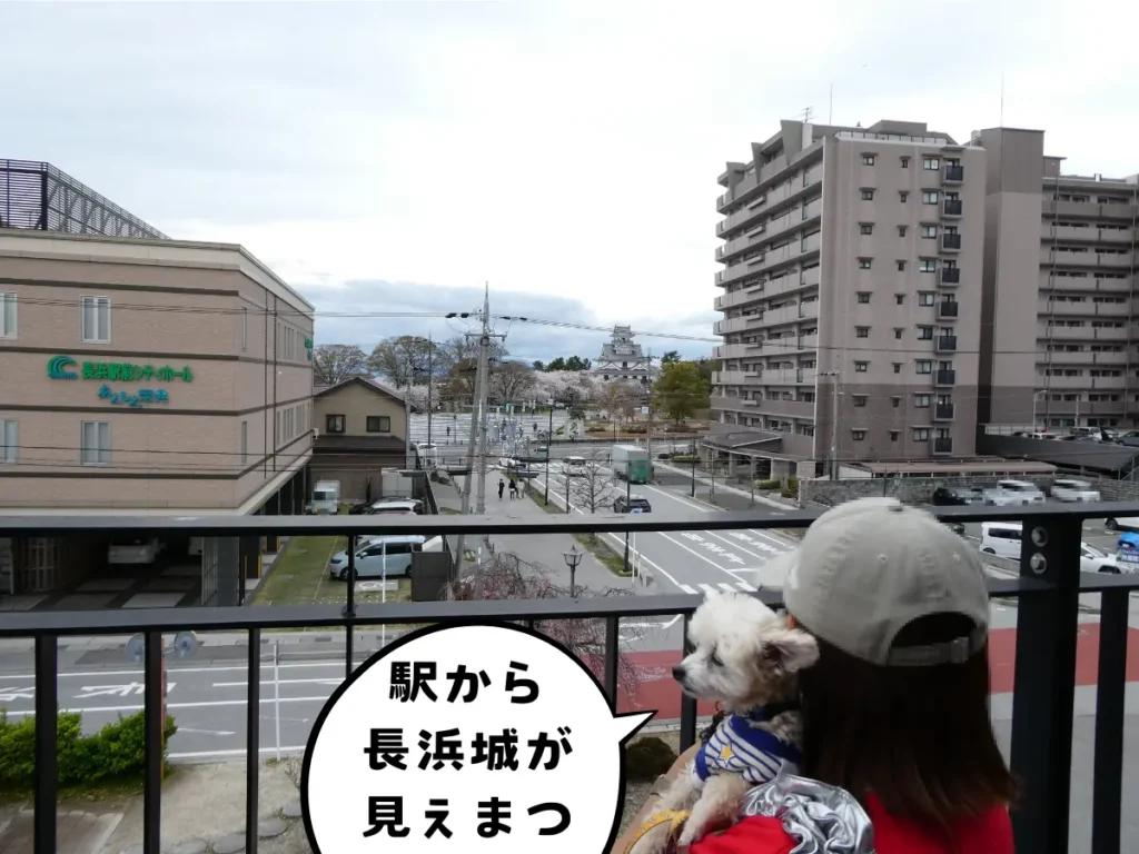 長浜駅から見る長浜城