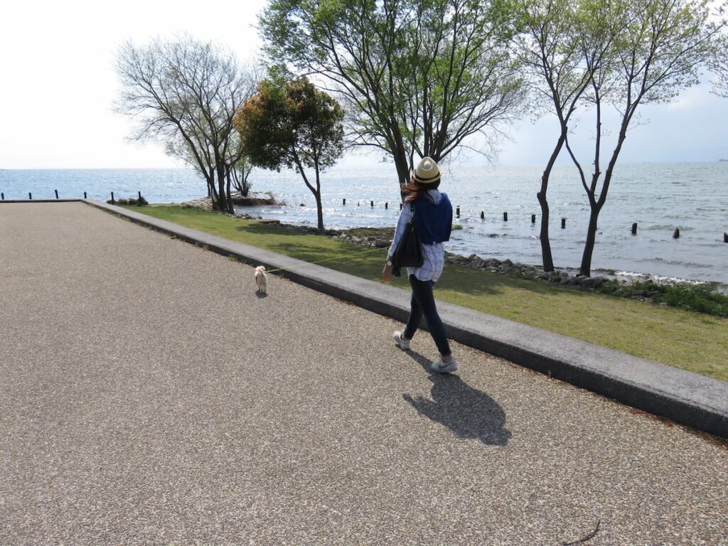 琵琶湖沿いをお散歩するママと犬