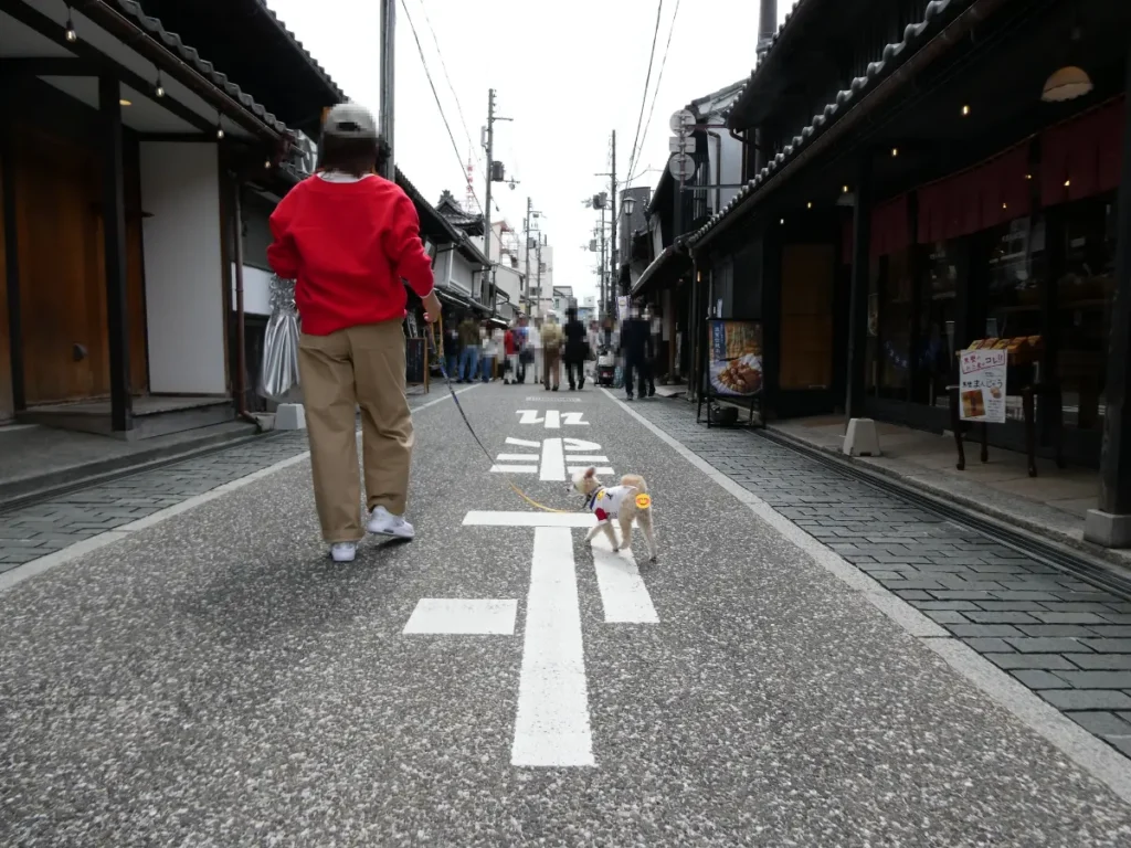 城下町を歩くママと犬