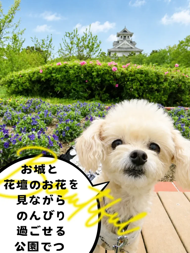 豊公園のベンチで記念撮影をする犬