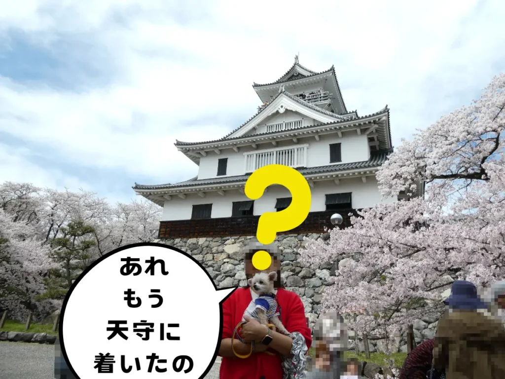 桜咲く長浜城天守で記念撮影