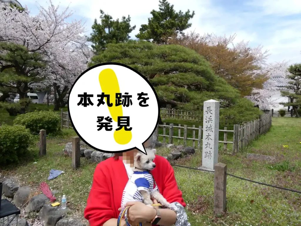 長浜城本丸跡