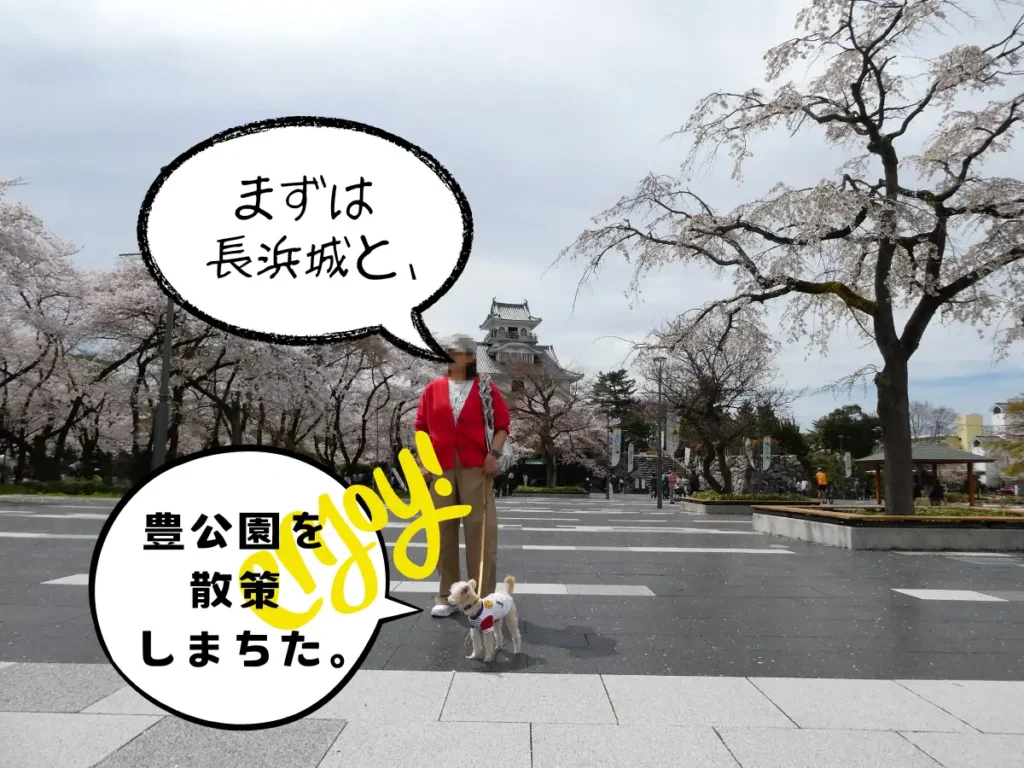 豊公園と長浜城