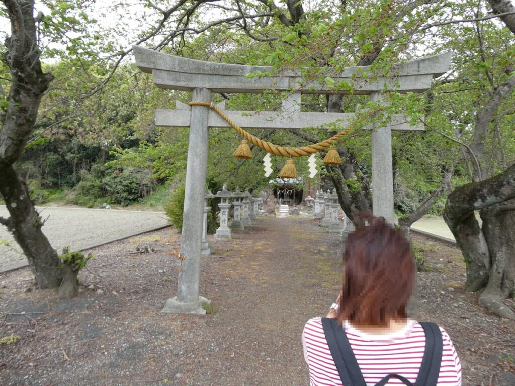 上坂神社の鳥居と参道