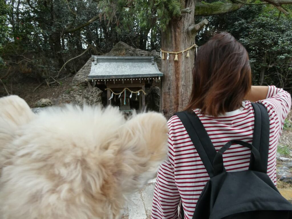 上坂神社のお社に参拝