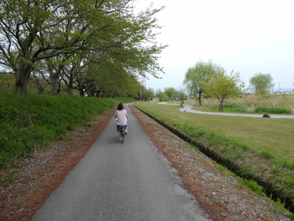 姉川沿いを血原公園へ進むママ