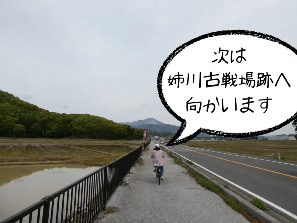 国道365号線を姉川古戦場跡へと自転車で進むママ