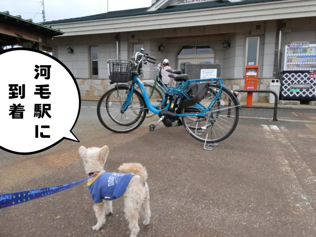 ゴールの河毛駅とレンタサイクル