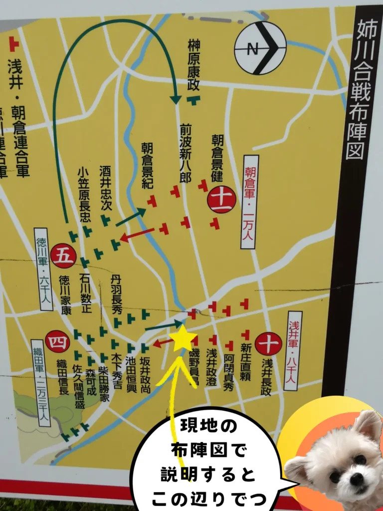 現地にある姉川合戦布陣図