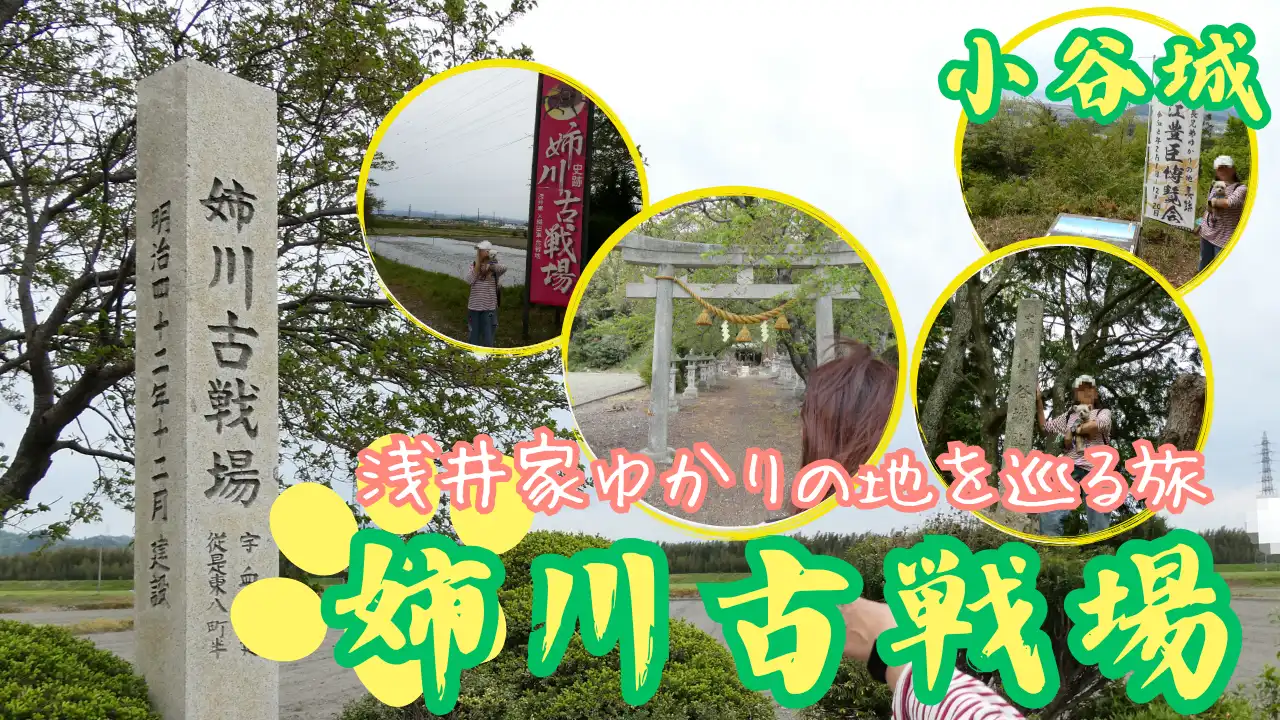 浅井ゆかりの地を1日で巡る犬連れ旅2サムネイル