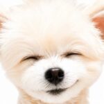 まるちゃん