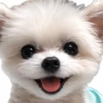 まるちゃん