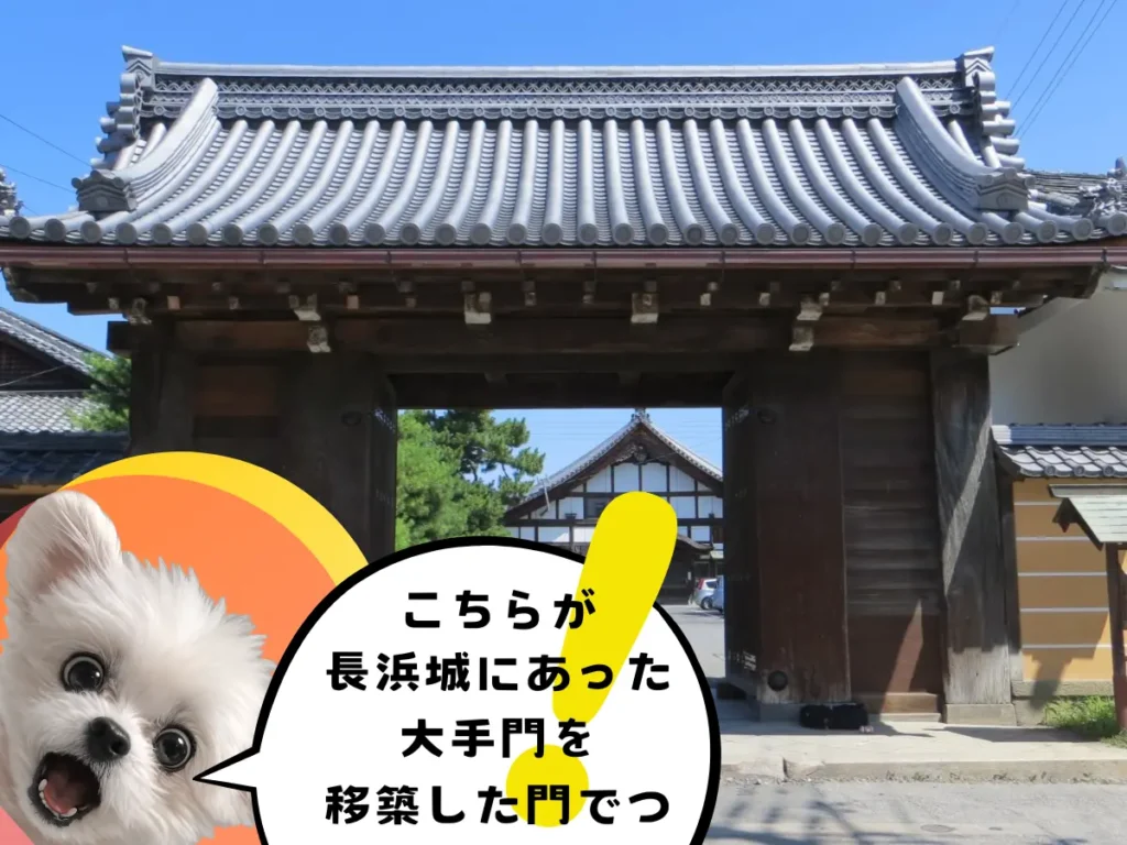 長浜別院大通寺の台所門