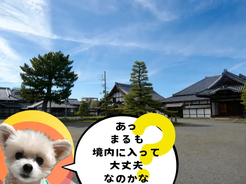 長浜別院大通寺の境内