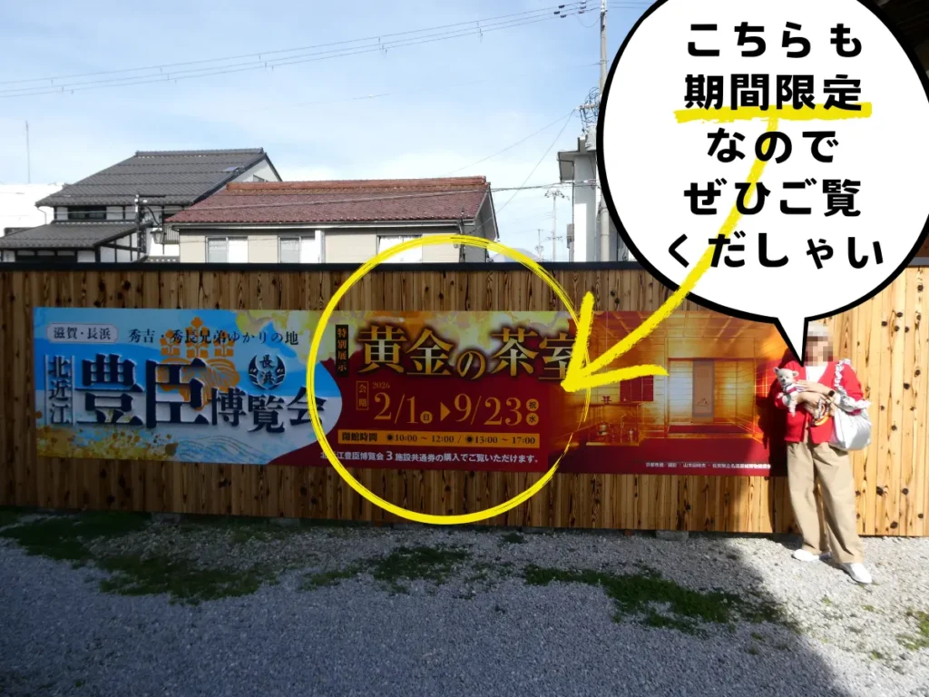 期間限定の黄金の茶室