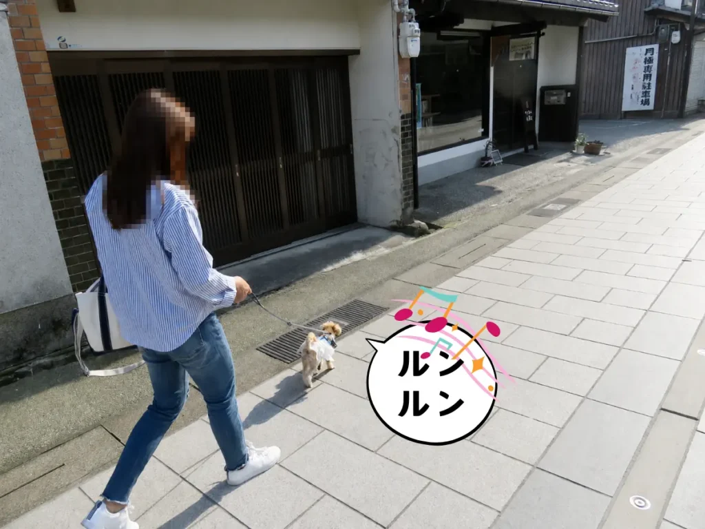 長濱八幡宮へと続く道を歩く犬