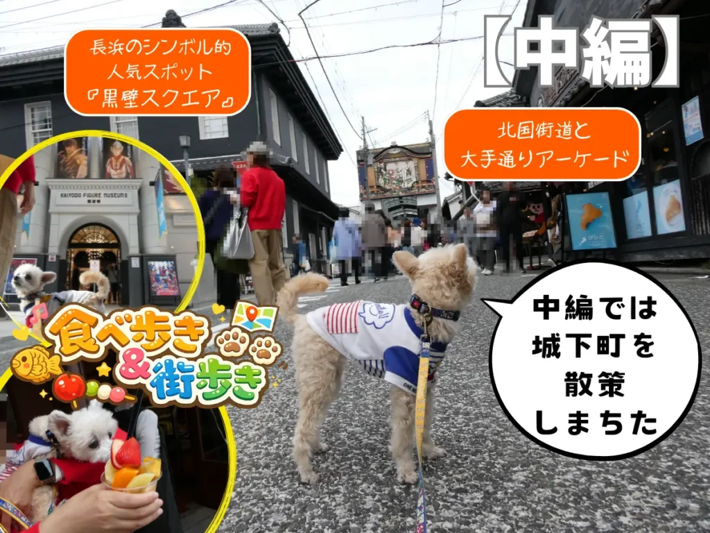 中編の黒壁スクエアと城下町散策をご紹介