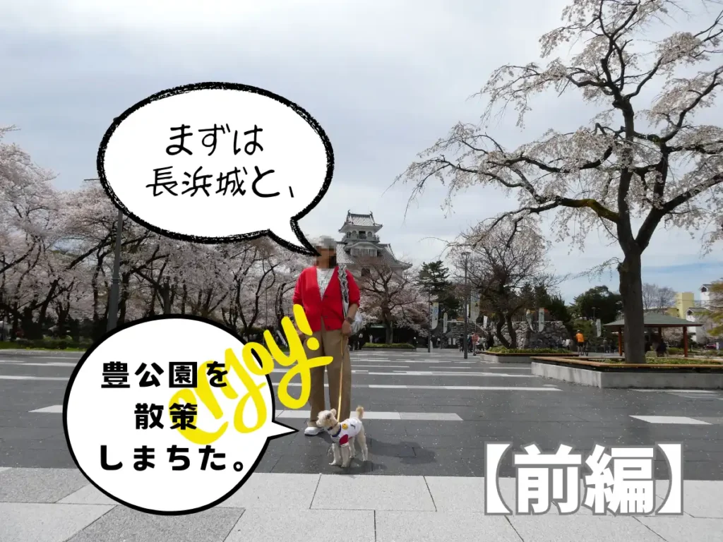 長浜城と豊公園