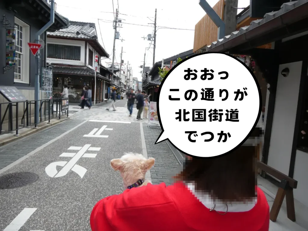 黒壁スクエアと北国街道の交差点