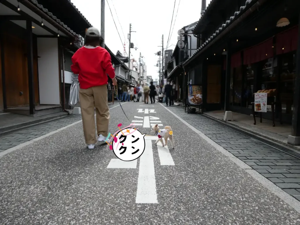 北国街道を歩くママと犬