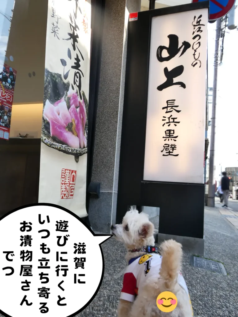 近江つけもの 山上長浜黒壁と犬