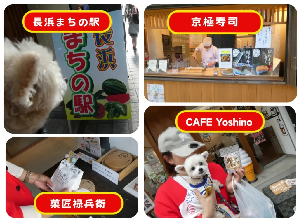 長浜まちの駅と菓匠禄兵衛と京極寿司とCAFE Yoshinoのまとめ写真