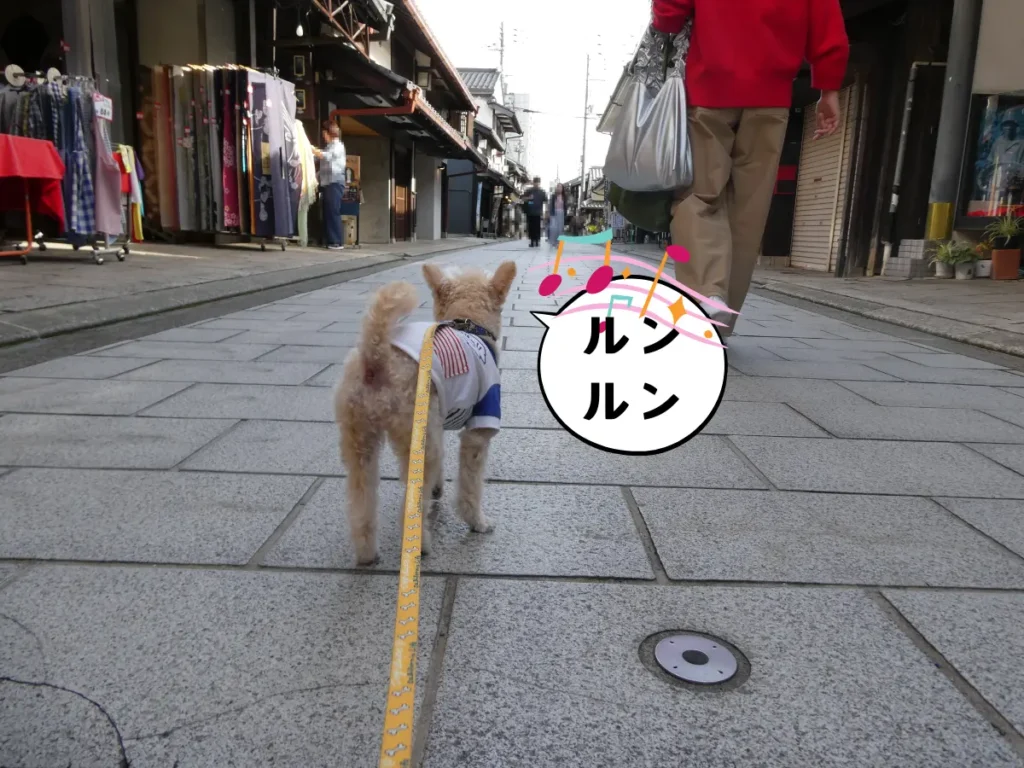 ながはま御坊表参道を歩く犬