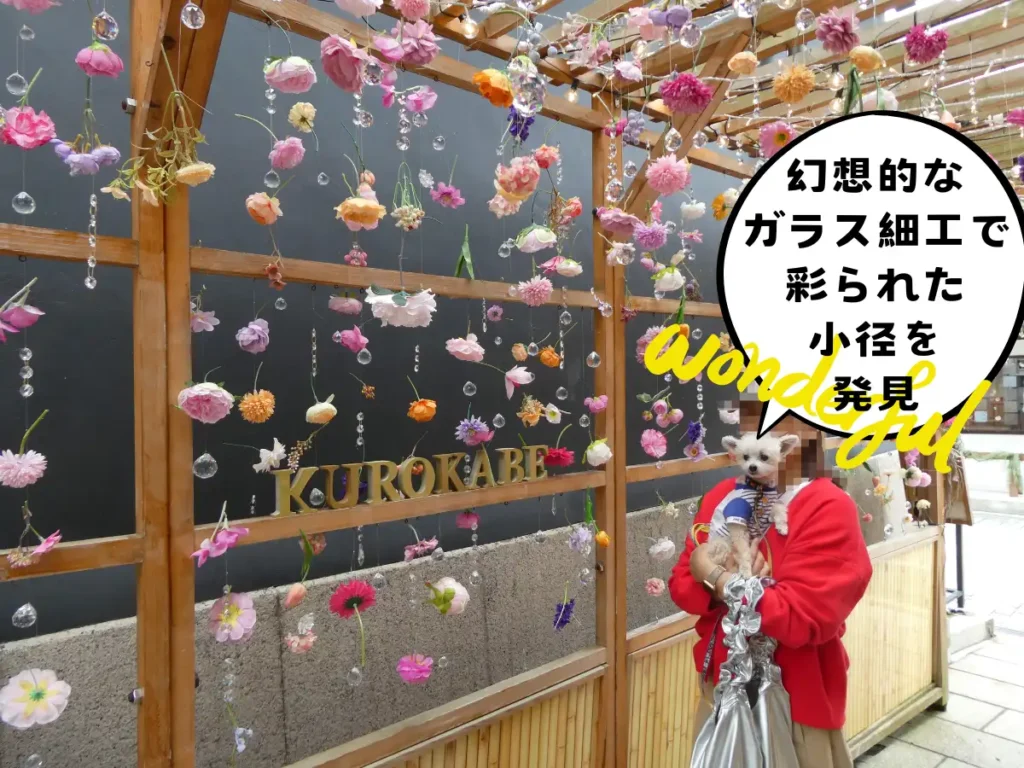 黒壁スクエアの花降る小径