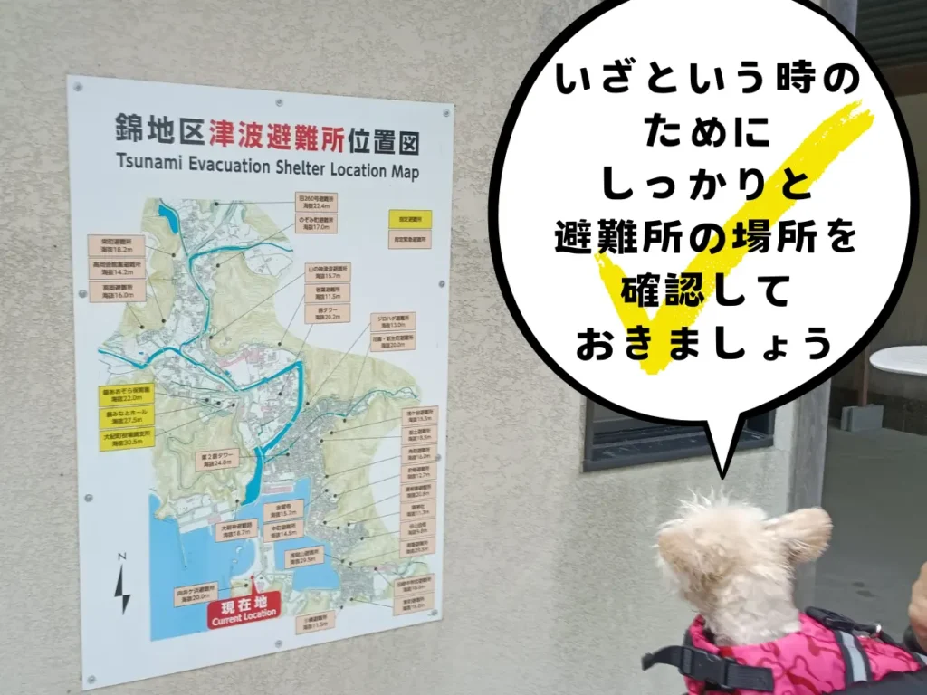 錦地区津波避難所の位置図