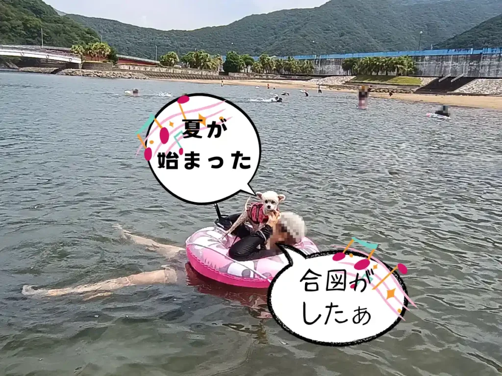 海に浮かぶママと犬