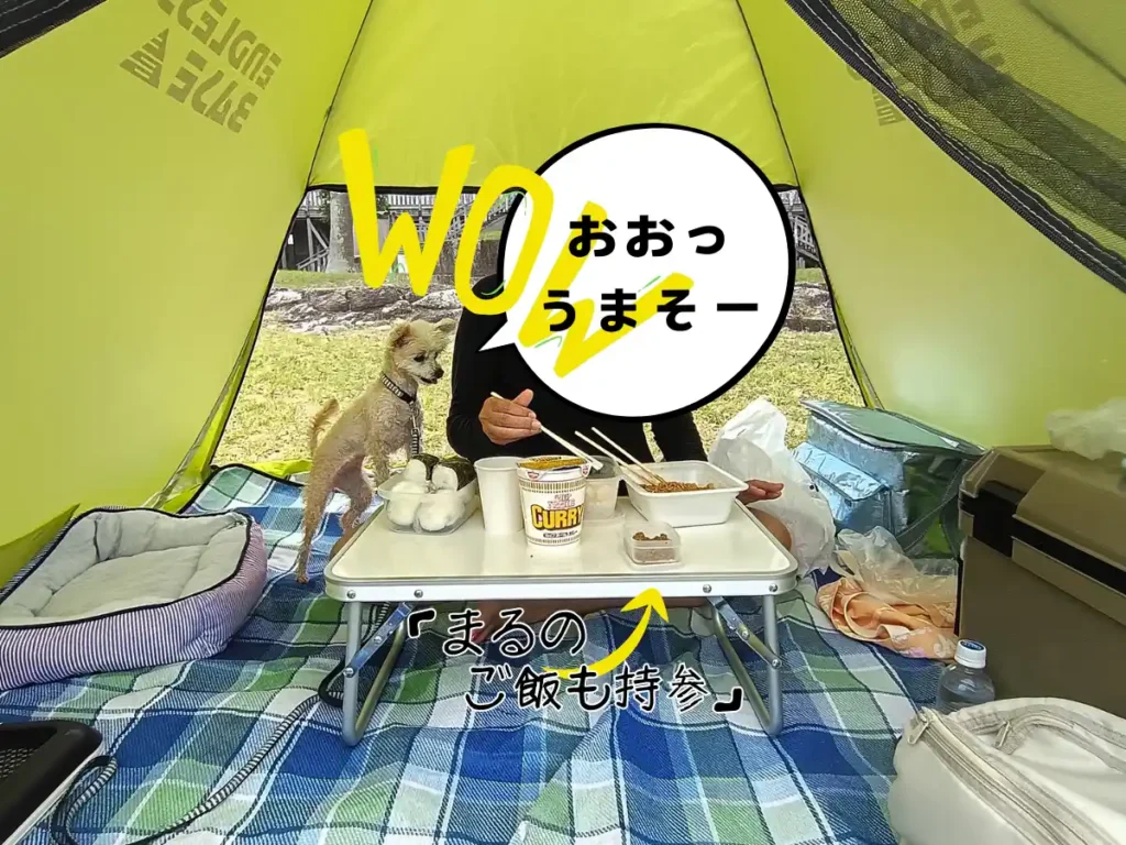 テントに戻ってお昼ご飯
