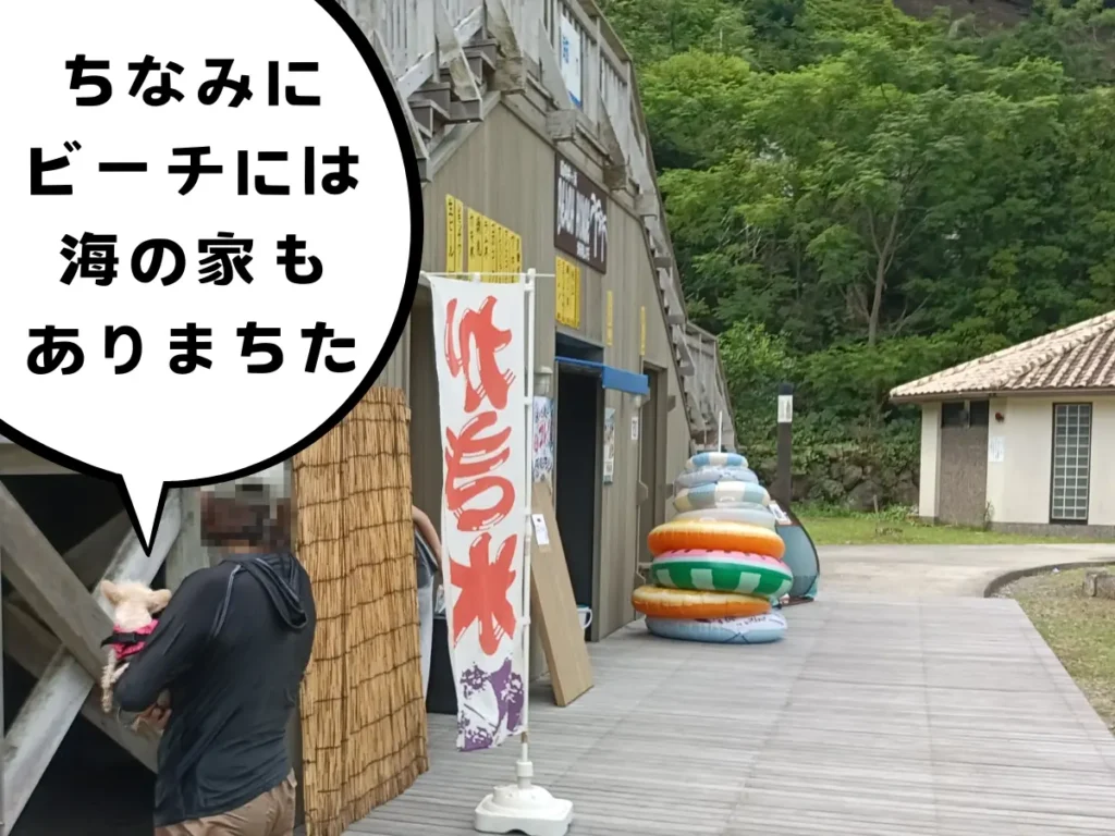 錦向井ヶ浜トロピカルガーデンにある海の家
