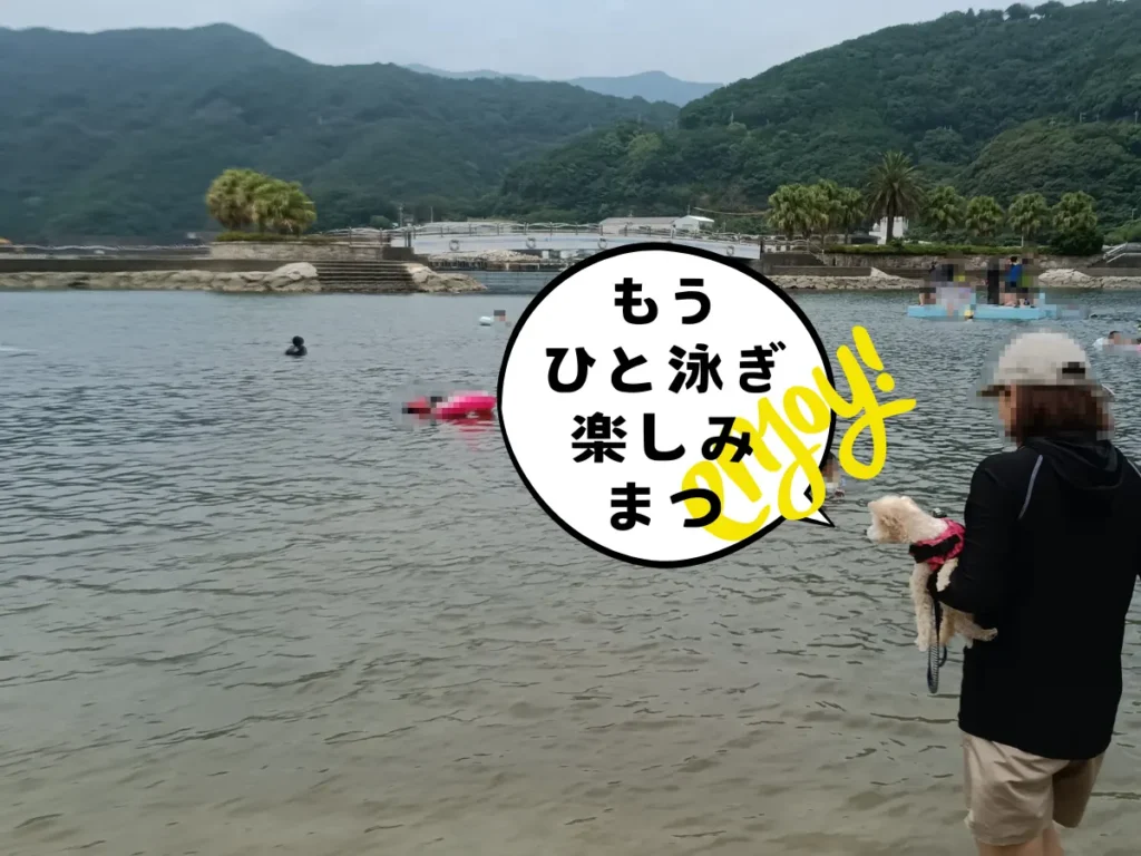 もう一度、錦向井ヶ浜の海へ